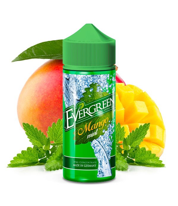 Mango Mint Aroma Evergreen