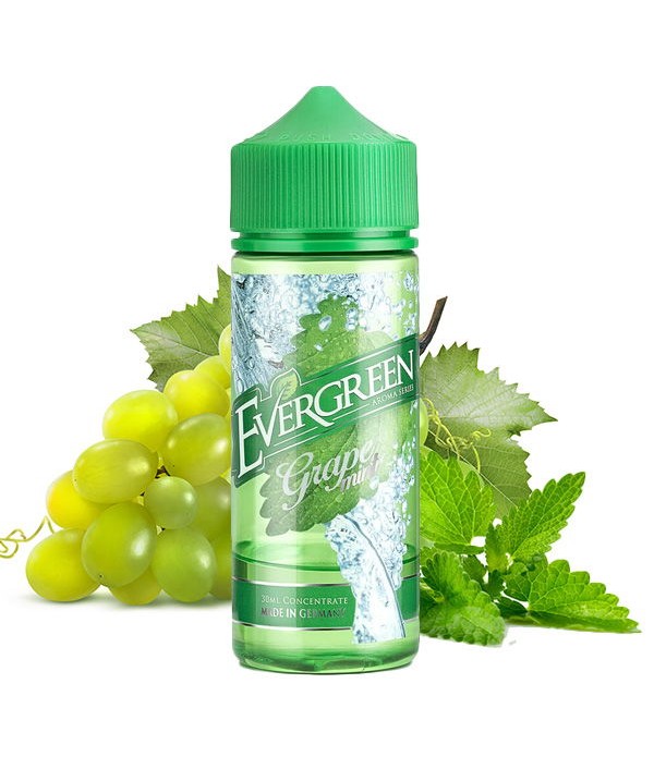 Grape Mint Aroma Evergreen